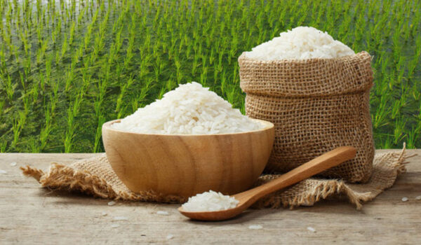 تفاوت برنج هندی و تایلندی