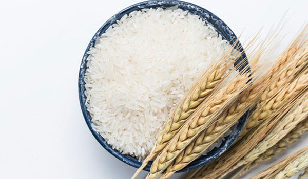 آیا برنج عنبربو گرم است یا سرد